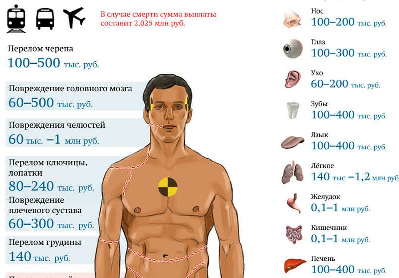 Сколько стоит человек